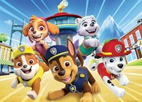 Nathan Paw Patrol Adventures - 100 Teile