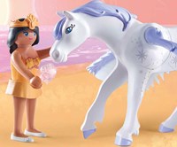 Pegasus Met Regenboog-3