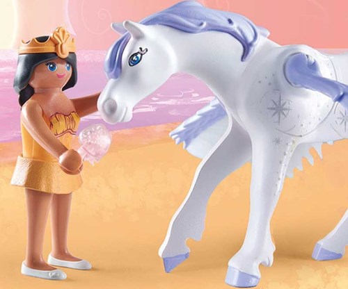 Pegasus Met Regenboog-3