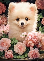 Castorland Puzzle Pomeranian Puppy in Roses - 300 Teile