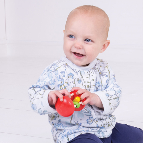 BigJigs Holz Greifspielzeug Regenbogen Roller Baby sensorisch
