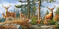 Castorland Königliche Familie der Hirsche - 4000 Teile