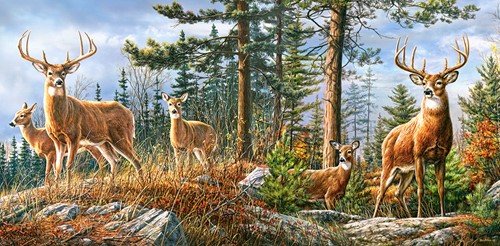 Castorland Königliche Familie der Hirsche - 4000 Teile