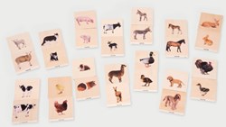 TickiT Holz Memoryspiel Haustierfamilien - Lernspielzeug für Kinder