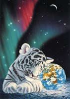 Grafika Schim Schimmel - Earth Light -  Teile