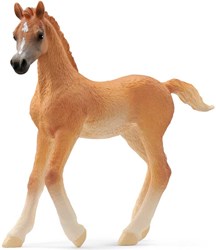 Schleich Horse Club Arabisches Fohlen - Spielfigur Pferd braun