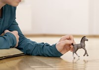 Schleich Pferdespielzeug Horse Club Selle Francais Fohlen grau-2