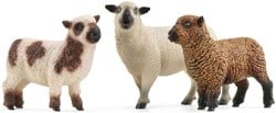 Schleich Bauernhof Schafe Spielfiguren Set - Farm World - Schaf-Freunde