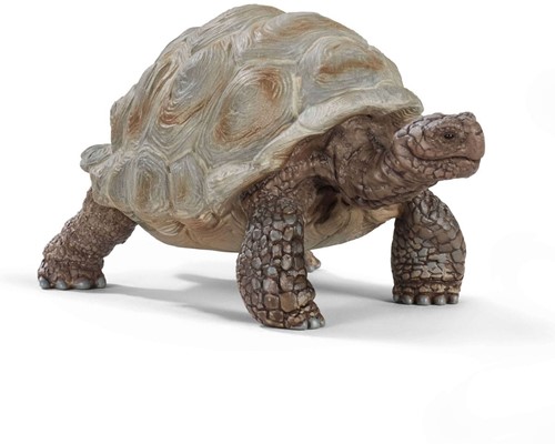 SCHLEICH 14824 B07Y2SZN8Y Riesenschildkröte Wild Life