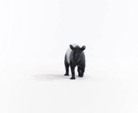 Schleich Wild Life - Tapir 14850-2