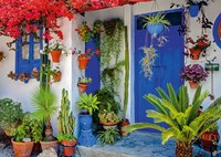 Schmidt Puzzle Mediterrane Haustür - 1000 Teile Jigsaw