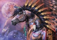 Schmidt Puzzle Shaman - 1000 Teile Fantasy Puzzlemotiv
