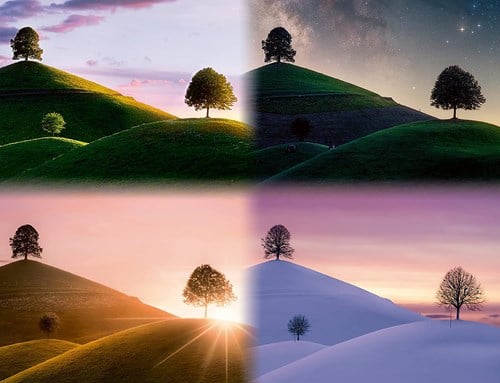 Ravensburger Puzzle - Jahreszeiten 2000 Teile Erwachsene Landschaft