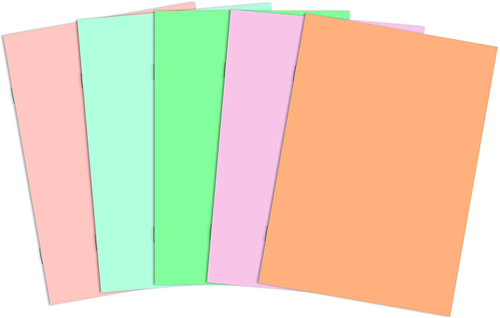 Silvine Skizzenbuch A4 Pastell Zeichenpapier 140g 10 Stück weiß multicolor