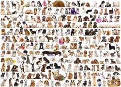 Eurographics puzzle Hundewelt - 1000 Teile