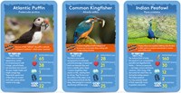 Winning Moves Kartenspiel Vögel - Lernspiel für Kinder und Familien-2