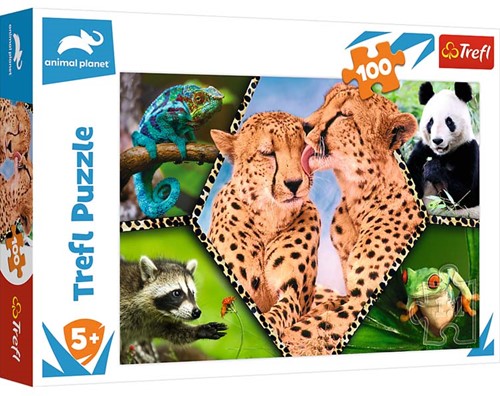 Trefl Trefl 100 – Wunderschöne Natur / Entdecken Sie den Tierplaneten