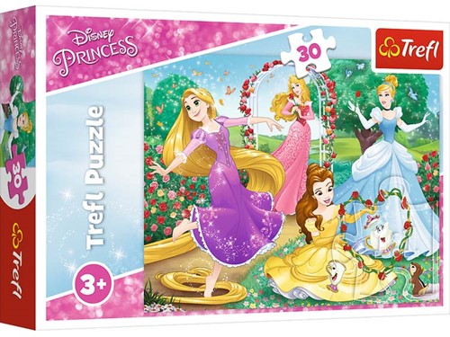Trefl Trefl 30 – Sei eine Prinzessin / Disney Princess