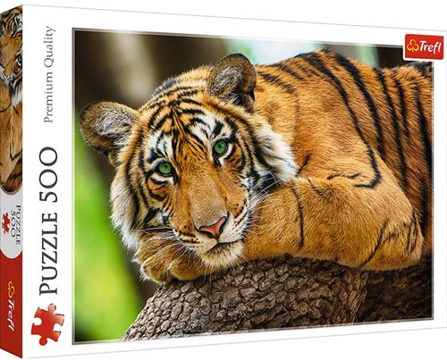 Trefl Trefl 500 - Tiger portrait