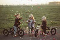 Trybike houten loopfiets 4 in 1 roze