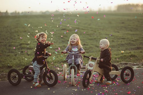 Trybike houten loopfiets 4 in 1 roze