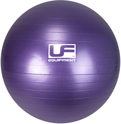 Urban Fitness 500kg Burst Resistance Schweizer Gymnastikball Lila - 55cm