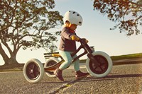 Wishbonebike Laufrad 3-in-1 Recycled-3