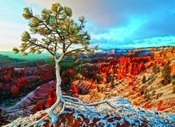 Eurographics puzzle Sonnenaufgang im Winter - 1000 Teile