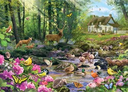 Gibsons Puzzle Woodland Glade - 1000 Teile Natur Puzzle