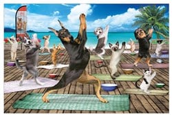 Eurographics Puzzle XXL - Yoga Spa - 500 Teile Jigsaw Puzzle